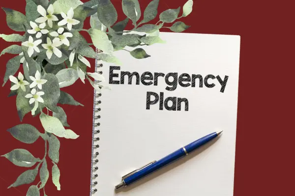 A spiral notebook with "Emergency Plan" written on its cover, placed on a red surface with a blue pen resting on it and decorative green leaves with white flowers in the corner.