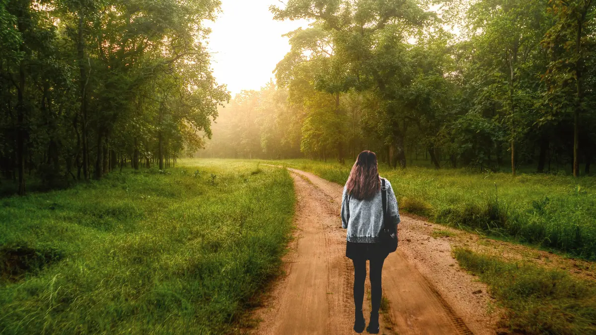 Person walking quietly through forest at sunrise, practicing silent walking for mental clarity