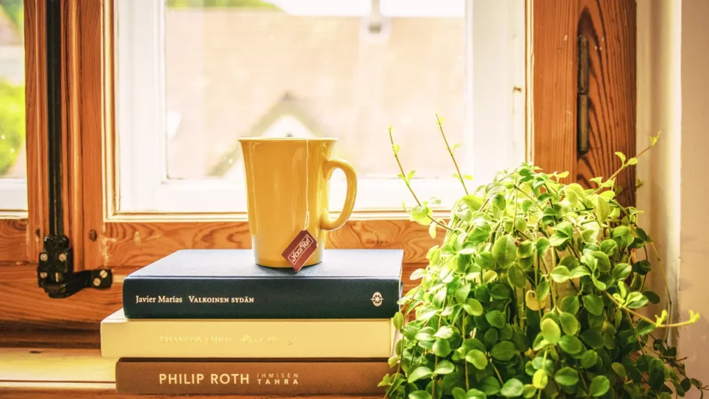 Warm tea cup by a window with books and plant symbolizing mental calm and self-care

